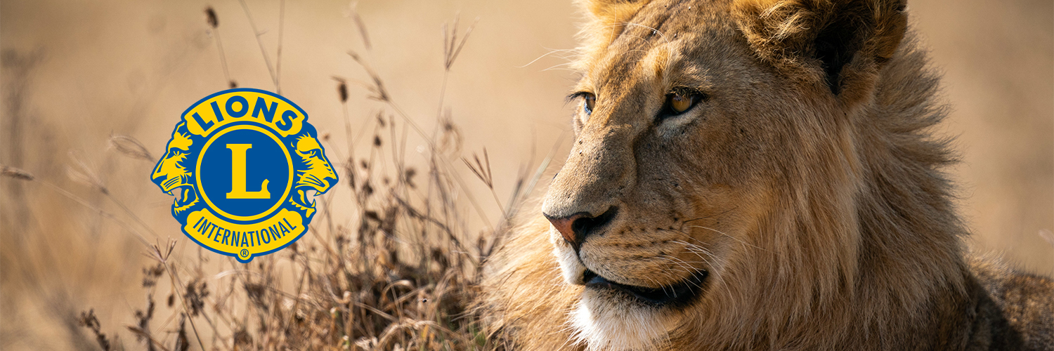 Löwenbild